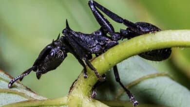 пошук маршруту