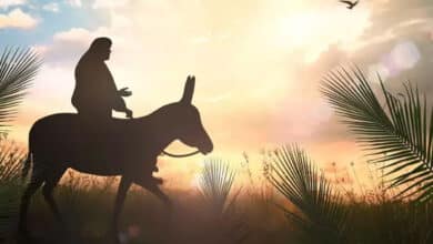 про тріумфальний вхід Ісуса