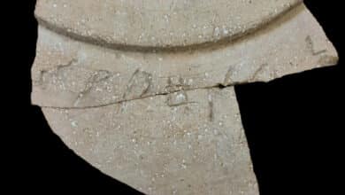 правління царя Соломона