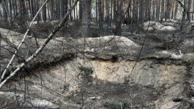 Причина і наслідок