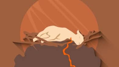 Оце Агнець Божий