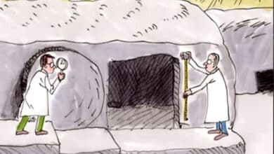 правда чи брехня