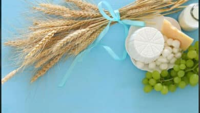 Свято Шавуот