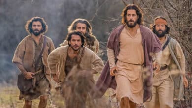 Обрані Прапор ЛГБТ