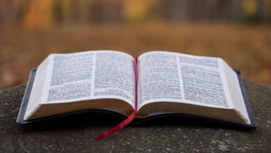 вислови яких немає в Біблії