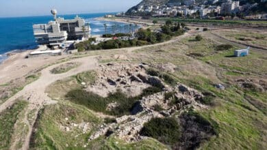 королівський пурпур