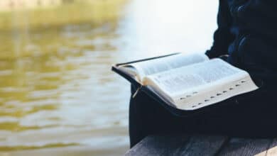 вивчення Писання