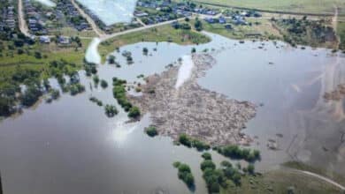 Компенсація збитків