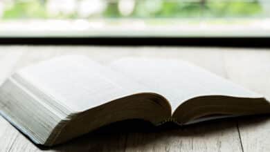 читання Біблії статистика