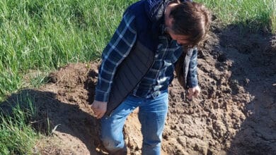 про самоконфронтацію в час війни