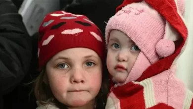 Українські біженці у Чехії