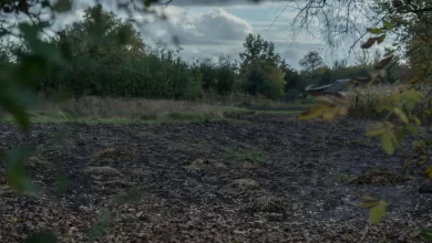 Всесвітня Рада Церков зустріч Україна