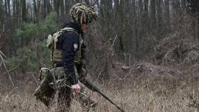 розмінування лісів