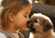 Всесвітній день доброти