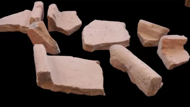 Фрагменти керамічної черепиці, знайдені в Місті Давида, Єрусалим, які можуть бути частиною фортеці Акри, збудованої Антіохом IV Епіфаном