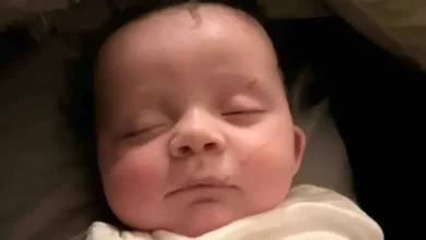 Чотиримісячний малюк, віднесений торнадо, знайдений живим на дереві в Теннессі