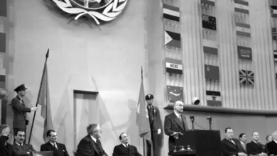 Загальна декларація прав людини ООН