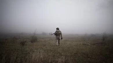 Територіальні поступки України