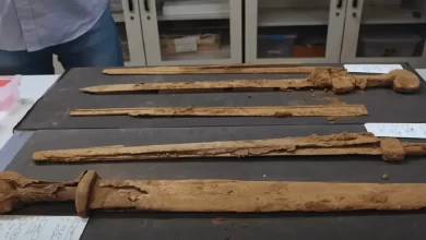 Археологічне відкриття року: давньоримські мечі в Ізраїлі