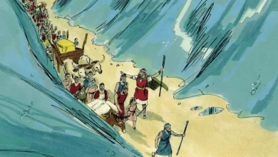 Розділення Червоного моря