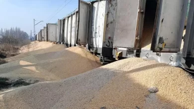 українське зерно в Польщі