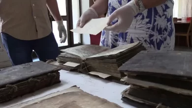 проект «Ковчег»