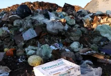 Боротьба з голодом