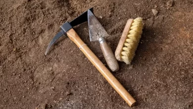 Археологічні знахідки, що підтверджують історичні події Біблії.