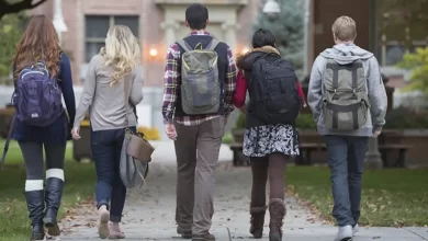 Вища освіта і демографічна криза