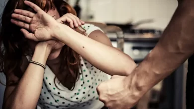 законопроєкт домашнє насильство