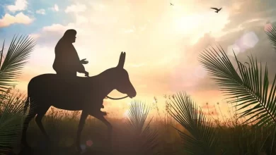 Пальмова неділя