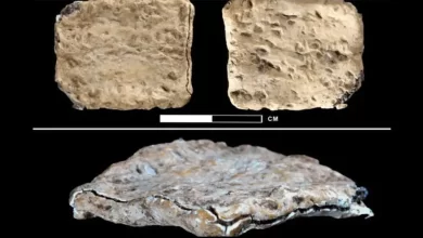 Археологічне відкриття Ягве