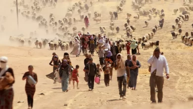 Християни в Іраку