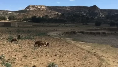 нестача чистої води