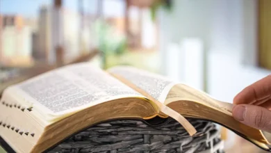 Богословські семінарії та помісна церква