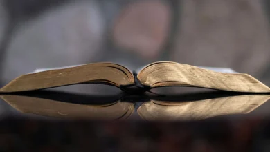 Дослідження взаємодії з Біблією