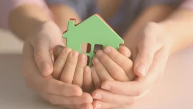 нові правила патронату