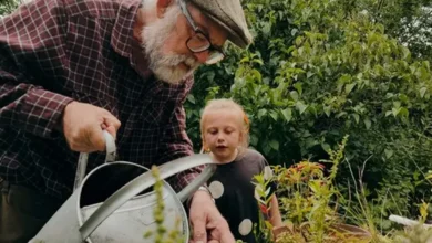 Близькі стосунки з сім'єю