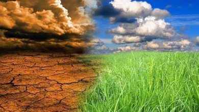 скептицизм християн до зміни клімату