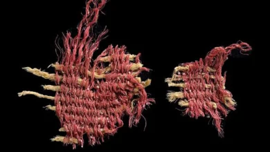 багряний колір древність