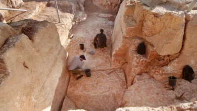 каміння для дороги Ісуса