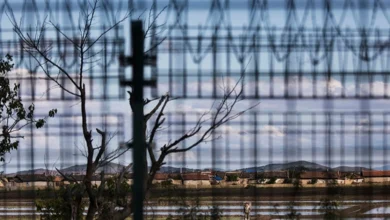 Переслідування християн у Північній Кореї