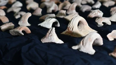 військова кампанія Сеннахеріба