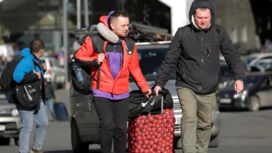 українські біженці 2024