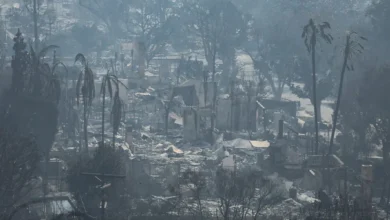 лісові пожежі в Лос-Анджелесі