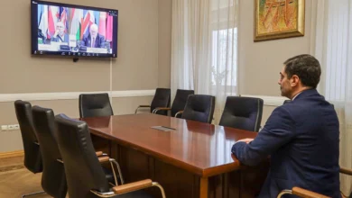 Виступ Дмитра Лубінця в ОБСЄ про захист українських дітей