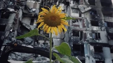 Молитва за Україну – вірш Тетяни Мороз