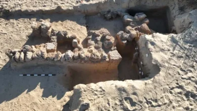 Археологічні розкопки в Ізраїлі, що демонструють використання сміття як добрива