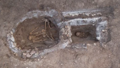 Археологічні розкопки Ямної культури в Україні