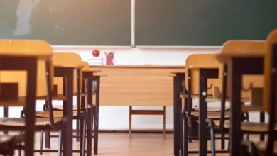 Українські школярі навчаються дистанційно з-за кордону